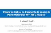 Inibidor de CDK4/6 no Tratamento do Cancer de Mama ... · PALOMA 1: Estudo de Fase II, Randomizado de Palbociclibe + Letrozol vs. Letrozol no Tratamento de Primeira Linha em Pacientes