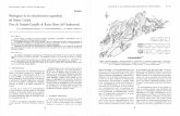 Boletín Geológico y Minero. T. XCVII-VI. Año 1986 (772-781 ...eprints.ucm.es/36562/1/lunarHernandez.pdf · METALOGENIA DE LAS MINERALIZACIONES ARGENTIFERAS DEL SISTEMA CENTRAL.