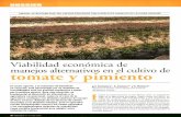 Revista Vida Rural, ISSN: 1133-8938...Cuando un agricultor decide la reconversión de su explotación de agricultura convencional a agricultura ecológica, son muchas las dudas y problemas