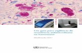 Um guia para vigilância de - · PDF file Um guia para vigilância da resistência antimicrobiana na hanseníase: atualização 2017 ... figuras ou imagens, atribuindo-o a terceiros