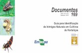 Documentos ISSN 1415-2312 Setembro, 2019 169€¦ · Esta publicação, em formato de guia de campo, tem por finalidade auxiliar agricultores, profissionais da assistência técnica