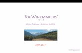 Vinhos Originais e Criativos do Chiletopwinemakers.cl/wp-content/uploads/TW-Portugues.pdfcompõe de 3 vinhos tintos da mais alta qualidade, o desafio é fazer vinhos que demostrem