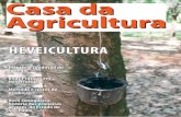 HEVEicultura - cdrs.sp.gov.br · Nosso endereço: CATI – Centro de Comunicação Rural Av. Brasil, 2.340 – CEP 13070-178 – C.P.960 – CEP 13001-970 – Campinas, SP Tel.: (19)