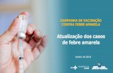 CAMPANHA DE VACINAÇÃO CONTRA FEBRE AMARELA. a... · 2020-03-19 · Estudo realizado por Bio-Manguinhos/Fiocruz aponta a presença de anticorpos contra febre amarela, após 8 anos,