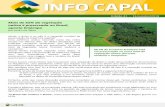 Mais de 65% da vegetação nativa é preservada no Brasil ...capal.coop.br/pdf/Arquivo-2019-10-11-14-17-25.pdf · no MapBiomas, uma plataforma online que mapeia uso da terra no Brasil