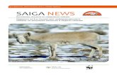 Saiga News | 22-й ВЫПУСК, ЛЕТО-ОСЕнь 2017 SAIGA NEWS · 2018-05-13 · заповедников, 2 национальных парков и 9 заказников.