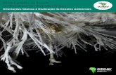 REPÚBLICA FEDERATIVA DO BRASIL MINISTÉRIO …...Sismografia Aplicada à Proteção do Patrimônio Espeleológico: Orientações Básicas à Realização de Estudos Ambientais 9