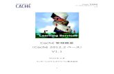 Caché 管理概要 ベース） - InterSystems...Caché 管理概要 バージョン2012.2ベース 1.1 3 1. はじめに 本ガイドは、Caché で構築されたアプリケーションおよびシステムを運用管理していくために必要