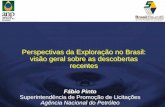Perspectivas da Exploração no Brasil: visão geral sobre as …rodadas.anp.gov.br/arquivos/Round5/arquivos_r5/Apresent... · 2017-12-06 · • Visão geral da Exploração no Brasil