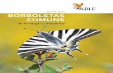 Guia das BORBOLETAS COMUNS · terflies” em inglês ou “mariposas” em espanhol). Em Portugal, este grupo é constituído por 133 espécies. Desta diversidade, foram selecionadas