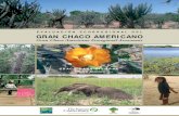 EVALUACIÓN ECORREGIONAL DEL GRAN CHACO AMERICANO · Su riqueza cultural The Chaco’s cultural diversity The Gran Chaco is also a center of cultural diversity. For approximately