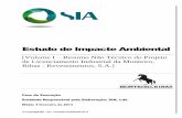 Estudo de Impacte Ambientalsiaia.apambiente.pt/AIADOC/AIA2754/RNT2754.pdf · 2014-03-19 · SIA – Soc. Inovação Ambiental, Lda – Rua Ló Ferreira, 281, Sala 2.7 - 4450-177 Matosinhos