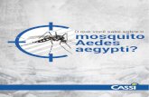 Sumário - Portal CASSI · 2017-01-30 · Dengue, chikungunya e zika são doenças com sintomas parecidos, sem tratamento específico e com consequências distintas. Pensando em auxiliar