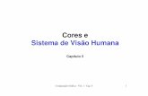 Cores e Sistema de Visão Humanaaconci/Cores.pdf · Sistema de Visão Humana Retina - composta de cerca de 120 milhões de bastonetes e 6 milhões de cones (sensores), converte o