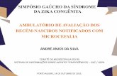 SIMPÓSIO GAÚCHO DA SÍNDROME DA ZIKA CONGÊNITA … · simpÓsio gaÚcho da sÍndrome da zika congÊnita ambulatÓrio de avaliaÇÃo dos recÉm-nascidos notificados com microcefalia