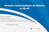 Situação Epidemiológica da Malária no Brasil. a...2018/11/28  · Situação Epidemiológica da Malária no Brasil Marcelo Yoshito Wada Ministério da Saúde Secretaria de Vigilância