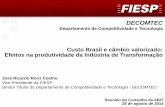 Custo Brasil e câmbio valorizado: Efeitos na produtividade ...sinditextilsp.org.br/uploads/arquivos/Apresentação2.pdf · DECOMTEC 7 3. Produtividade É uma medida de eficiência