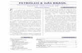 PETRÓLEO & GÁS BRASIL · PETRÓLEO & GÁS BRASIL Análise da Conjuntura das Indústrias do Petróleo e do Gás – Abril de 2002 - Ano 3 – n. 4 Grupo de Energia – Instituto