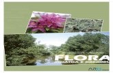AQUÁTICA E RIBEIRINHA - Interreg Sudoe · 2 - Factores condicionantes da flora e da vegetação dos cursos de água A composição florística e a estrutura da vegetação que se