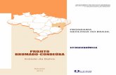 PROJETO BRUMADO-CONDEÚBArigeo.cprm.gov.br/jspui/bitstream/doc/21317/1/relatorio_litogeoquimi… · Os greenstone belts de Brumado, Umburanas e Guajeru, alem de Ibitira-Ubiraçaba