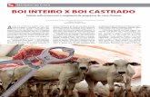 Matéria de Capa BOI INTEIRO X BOI CASTRADO · 2017-03-10 · 12 - MARÇO 2017 Matéria de Capa Debate volta à tona com o surgimento de programas de carne Premium Adilson Rodrigues