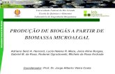 PRODUÇÃO DE BIOGÁS A PARTIR DE BIOMASSA MICROALGAL Adriano Hen… · CONCLUSÕES o 1 m e a Foi produzido gás com 71,8% de biometano, a partir da decomposição de 72,4% da biomassa