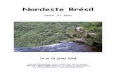 Nordeste Brésil - LPO€¦ · Nous sommes partis une dizaine de jours au Brésil pour découvrir deux écosystèmes typiques du nordeste brésilien : la caatinga (forêt sèche)