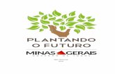 Belo Horizonte 2015 - Minas Gerais€¦ · Companhia de Desenvolvimento Econômico de Minas Gerais - Codemig Av. Otacílio Negrão de Lima, 2.202 – Bairro São Luís – Pampulha