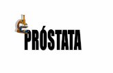 Próstata Próstata Próstata Próstata€¦ · Próstata Glândula localizada abaixo da bexiga, rodeando a uretra. Sua função é produzir uma parte da secreção que forma o sêmen.