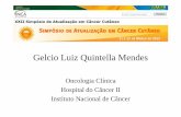 Gelcio Luiz Quintella Mendes - Ministério da Saúdebvsms.saude.gov.br › bvs › publicacoes › inca › tratamento_sistemico… · Gelcio Luiz Quintella Mendes Oncologia Clínica