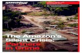 The Amazon’s Silent Crisis: Partners in Crime › content › download › 37942 › ...Amazon are exploiting weaknesses in the country’s regulatory system to launder illegally