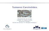 Tumores Carcinóides · Tumores Carcinóides 23 de Março de 2009 Introdução 1 - Rindi G & Bordi C. Highlights of the biology of endocrine tumours of the gut and pancreas. Endocr