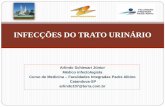 Infectologia Paulista - INFECÇÕES DO TRATO URINÁRIO · 2016-12-01 · UFC/mL, com ≥ 1 espécie bacteriana, sem sinais ou sintomas de ITU. • Urocultura ≥ 100 UFC/mL em amostra