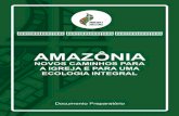 Livro - Amazônia novos caminhosrepam.org.br/wp-content/uploads/2018/07/Documento... · 2018-07-19 · Anunciar o Evangelho de ... 32 11. Anunciar o Evangelho de Jesus na Amazônia: