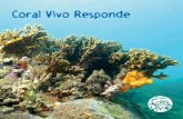 Coral Vivo Respondecoralvivo.org.br/arquivos/documentos/Coral-Vivo-Responde.pdf · de visitação em Arraial d’Ajuda, Porto Seguro (BA), são levadas experiências de encantamento