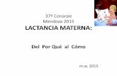 37º Conarpe Mendoza 2015 LACTANCIA MATERNA · • Presencia demostrada de un "factor inhibidor de la lactancia" (FIL) que se activa a medida de que la leche se acumula en el alvéolo