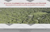 Povos Indígenas Isolados no Brasila E dição - Fevereiro de . As Frentes de Proteção Etnoambiental Localização das FPE: São no total 11 FPE atuando nos estados da região amazônica