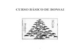 CURSO BÁSICO DE BONSAIrattobonsai.ueuo.com/wp-content/uploads/CURSO... · Japonesa não possuir nenhuma informação relativa a vinda de bonsai ou árvores de espécies japonesas,