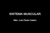 SISTEMA MUSCULARmoviebookseries.yolasite.com/resources/Sistema muscular... · 2013-08-28 · Sistema muscular - Funções Básicas • Fornecem força para movimentação • Trabalho