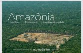 Amazônia - EscreverOnline · Desmatamento da Amazônia e suas consequências Com base nos textos acima e no seu conhecimento de mundo, escreva um texto dissertativo-argumentativo