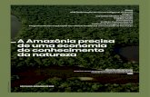 A Amazônia precisa de uma economia do conhecimento da … · 2018-12-18 · 2 A Amazônia precisa de uma economia do conhecimento da natureza 1. A redução do desmatamento no Brasil