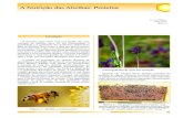 A Nutrição das Abelhas: Proteína · da área de criação produzida, ainda assim sempre limitada pela fertilidade da rainha e pelo número de abelhas amas, proporcionando ainda