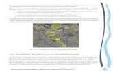Figura 1.2.2.f – Foto aérea de uma bacia com áreas ...servicos.guarulhos.sp.gov.br/destaques/coord... · 1.2.3 A transferência de impactos e as novas concepções de drenagem