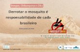 Derrotar o mosquito é responsabilidade de cada …...Redução de 50% dos casos graves de dengue e de 36% em relação aos óbitos Casos Graves Óbitos 1.616 933 803 601 2015 2016