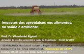 impactos dos agrotóxicos nos alimentos, na saúde e ambienteportal.cfmv.gov.br/uploads/Palestra_impactos dos... · Equipe do NEAST da UFMT nestes estudos: • Wanderlei Pignati -