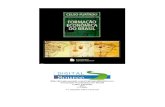 digitalsource Formação Econômica do Brasil Celso Furtado 2005 …home.ufam.edu.br/andersonlfc/Economia_Brasileira... · 2013-06-11 · americana e do Brasil. Suas pesquisas associam