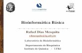 rdmesquita@iq.ufrj.br Laboratório de Bioinformática§ão.pdf · Apresentação de ferramentas e informações básicas em bioinformática, incluindo: ! Softwares Básicos • Firefox
