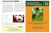 Instruções Técnicas Dezembro 2009 ISSN 1809-0001 da ... · por sua disseminação é a broca-do-olho-do-coqueiro, o besouro Rhynchophorus palmarum (Figura 3). A sobrevivência
