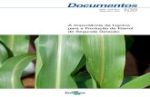A Importância da Lignina para a Produção de Etanol de ...8 A Importância da Lignina para a Produção de Etanol de Segunda Geração sa vegetal. Segundo a FAO (2005), além do