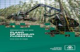 PLANO DE MANEJO FLORESTAL - cenibra.com.br€¦ · 102.290,1 hectares de vegetação nativa e 17.826,7 hectares são destinados à infraestrutura e outros usos. Independente da certificação,